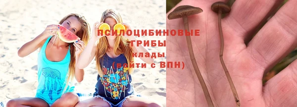 дурь Абдулино