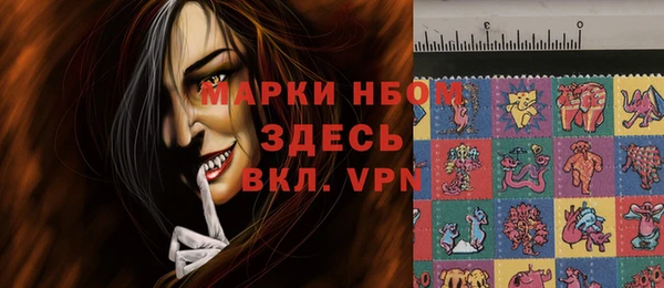 стафф Алзамай