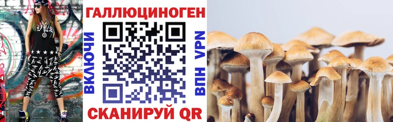 Галлюциногенные грибы мицелий  где купить наркотик  Кинешма 
